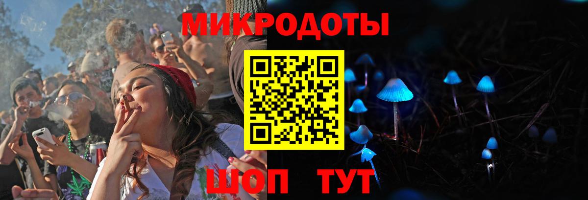 Псилоцибиновые грибы Psilocybe Чайковский